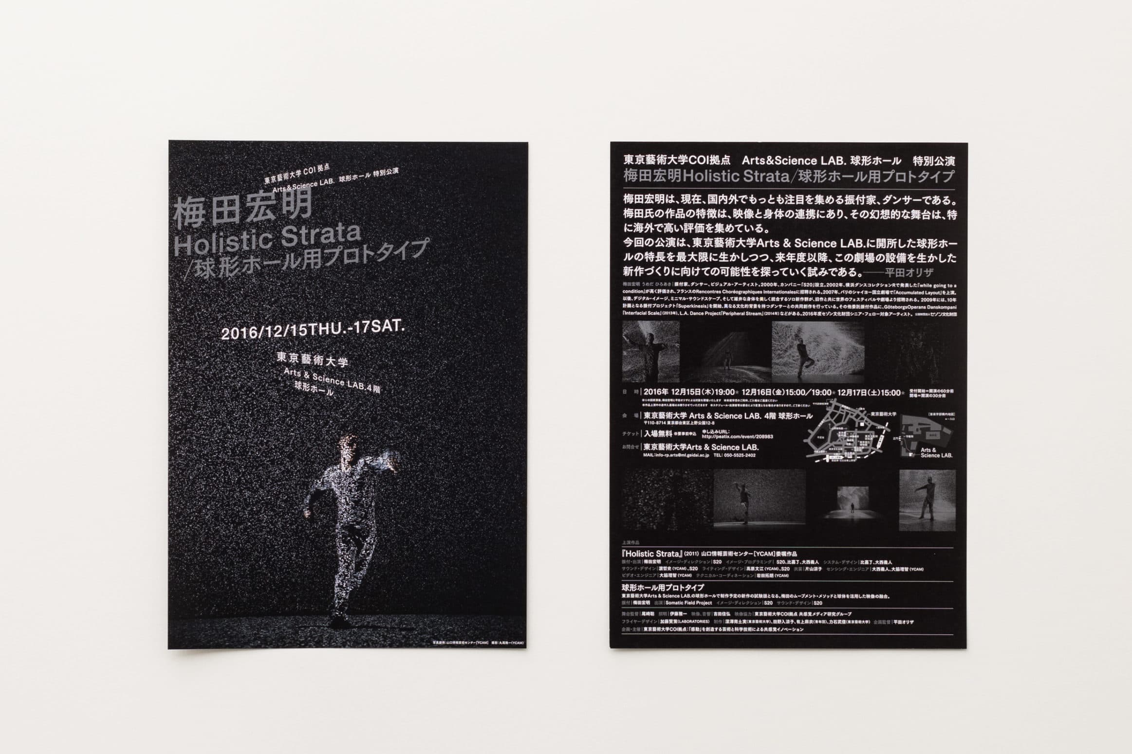 梅田宏明 Holistic Strata