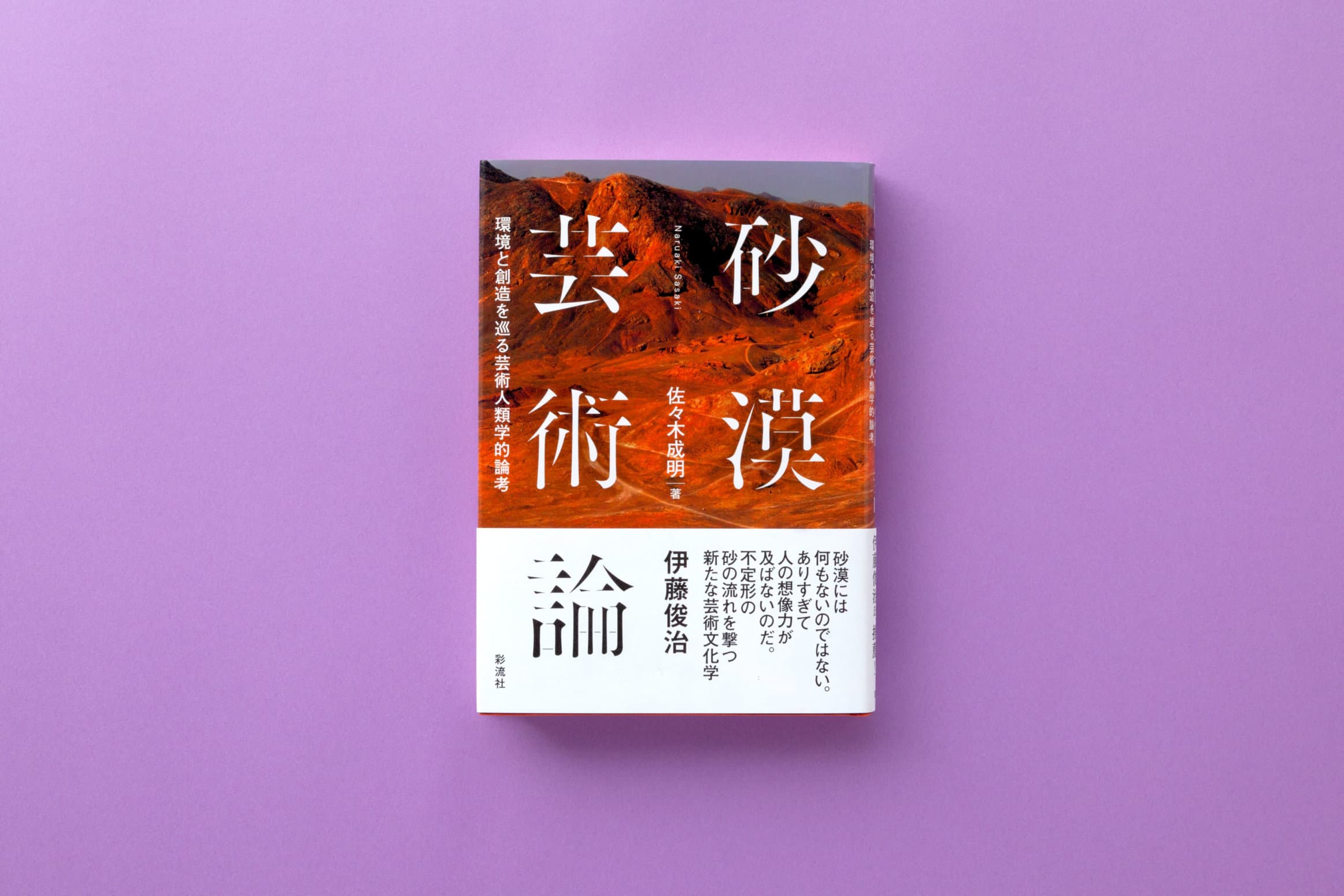 砂漠芸術論　佐々木成明