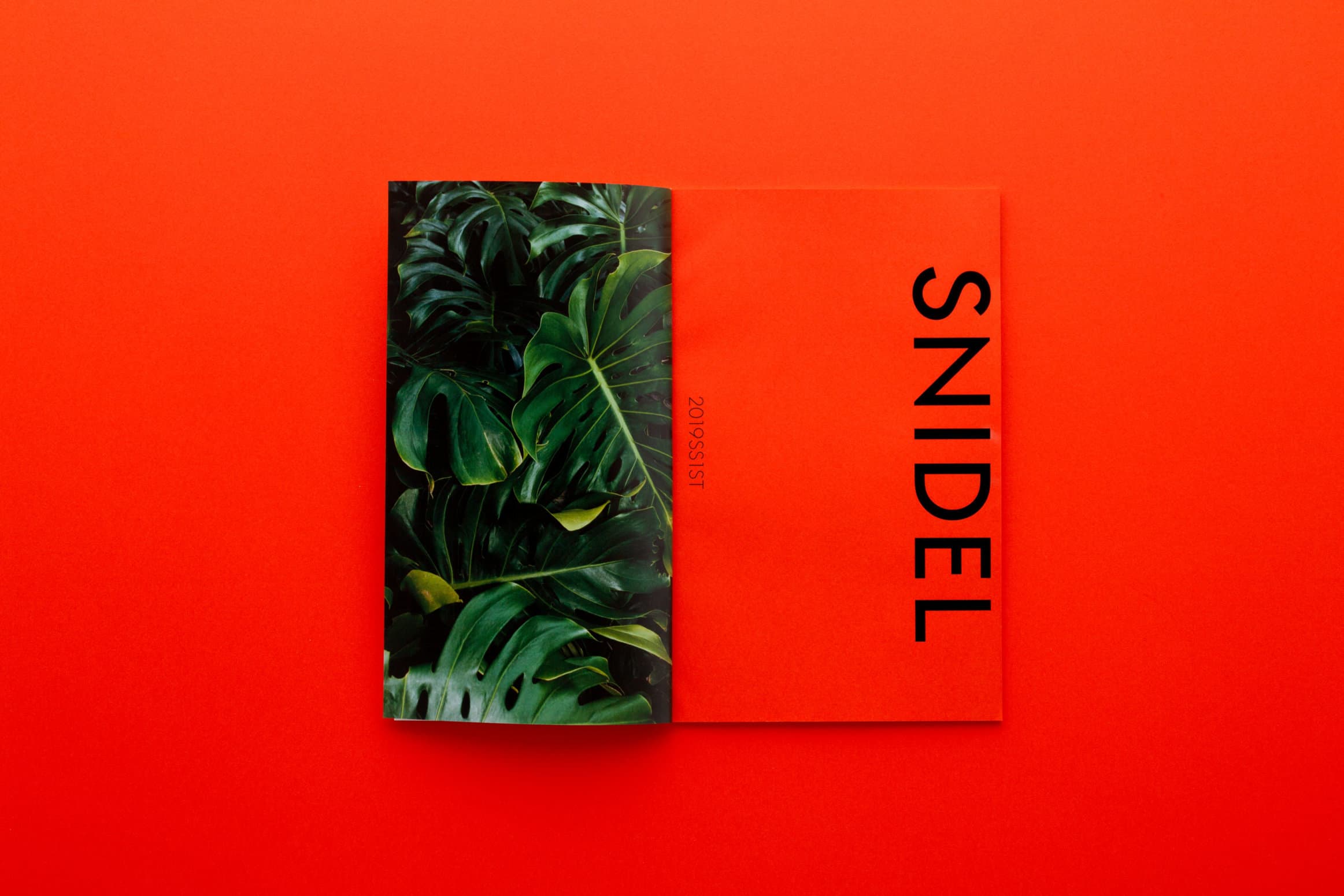SNIDEL 2019 SS 1st