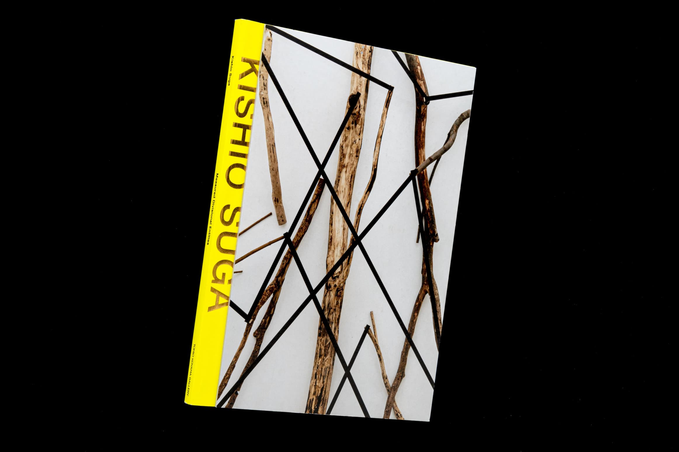 KISHIO SUGA__Measured Divisional Entities