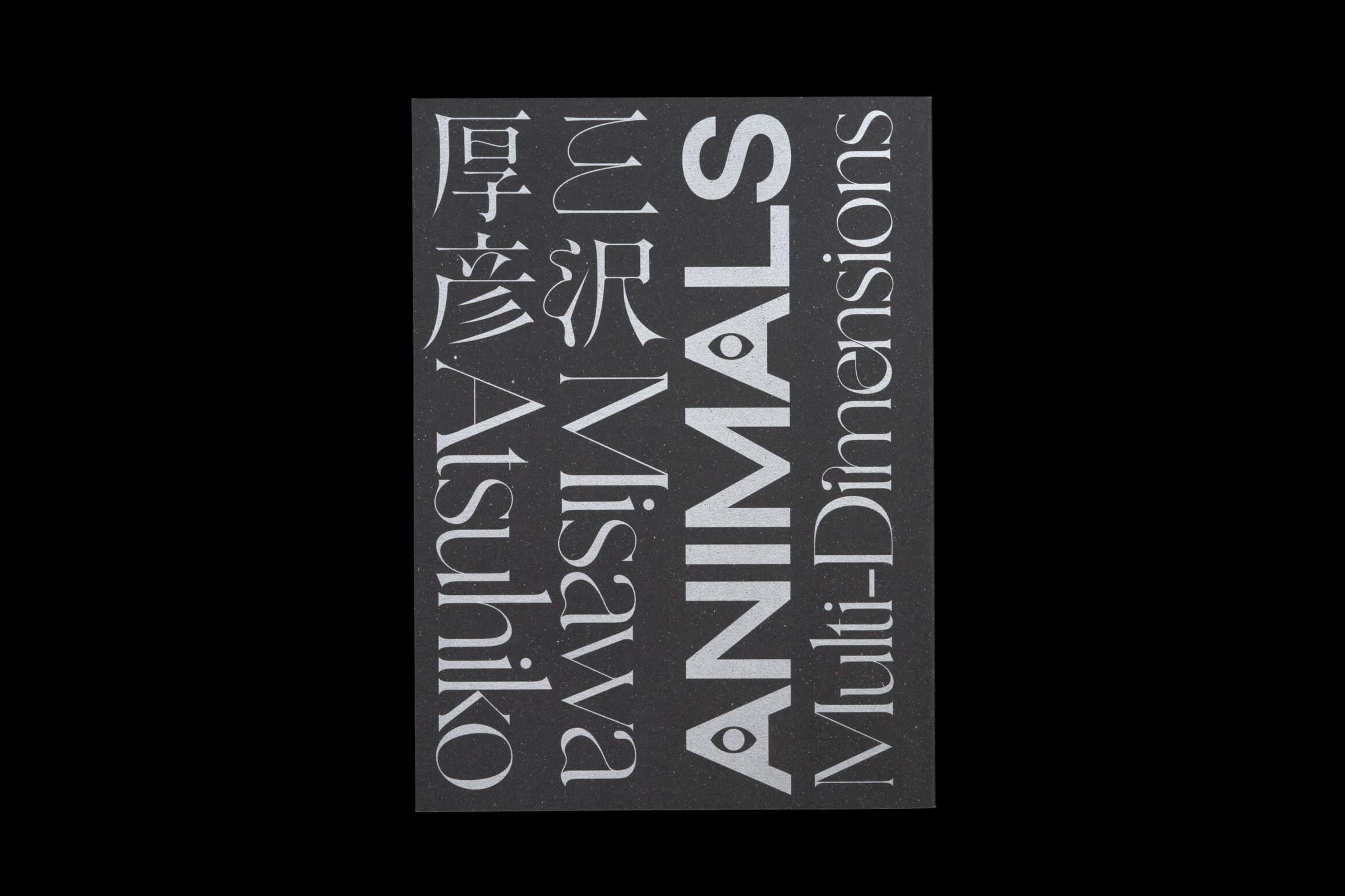 三沢厚彦ANIMALS　Multi-Dimensions